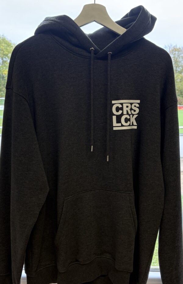 SVCN Hoodie geflügelter Ball grau Größe M